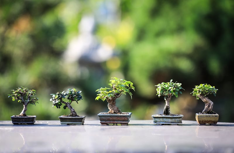 PVC Pipe Vertical Garden